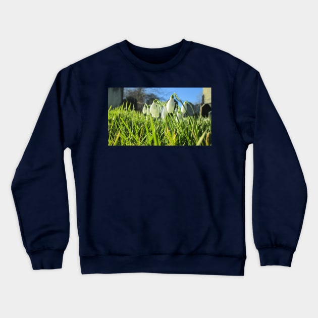 Churchyard Snowdrops in the Sunshine Crewneck Sweatshirt by Natural Distractions